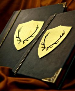 House Baratheon Cover - Game of Thrones eReader / iPad / Tablet Cover