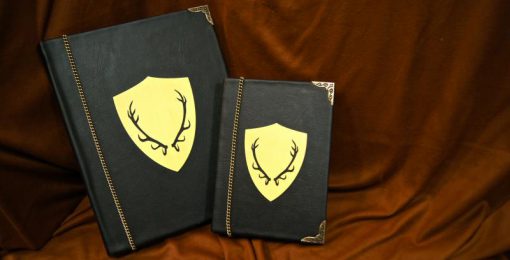 House Baratheon Cover - Game of Thrones eReader / iPad / Tablet Cover