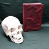 Book of the Damned Replica - eReader / Kindle / iPad / Tablet Cover / Journal (Inspired by Supernatural)